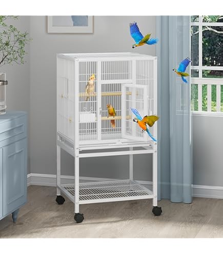 Amazon.com : A&E Cage 782217 Platinum Open Victorian Top