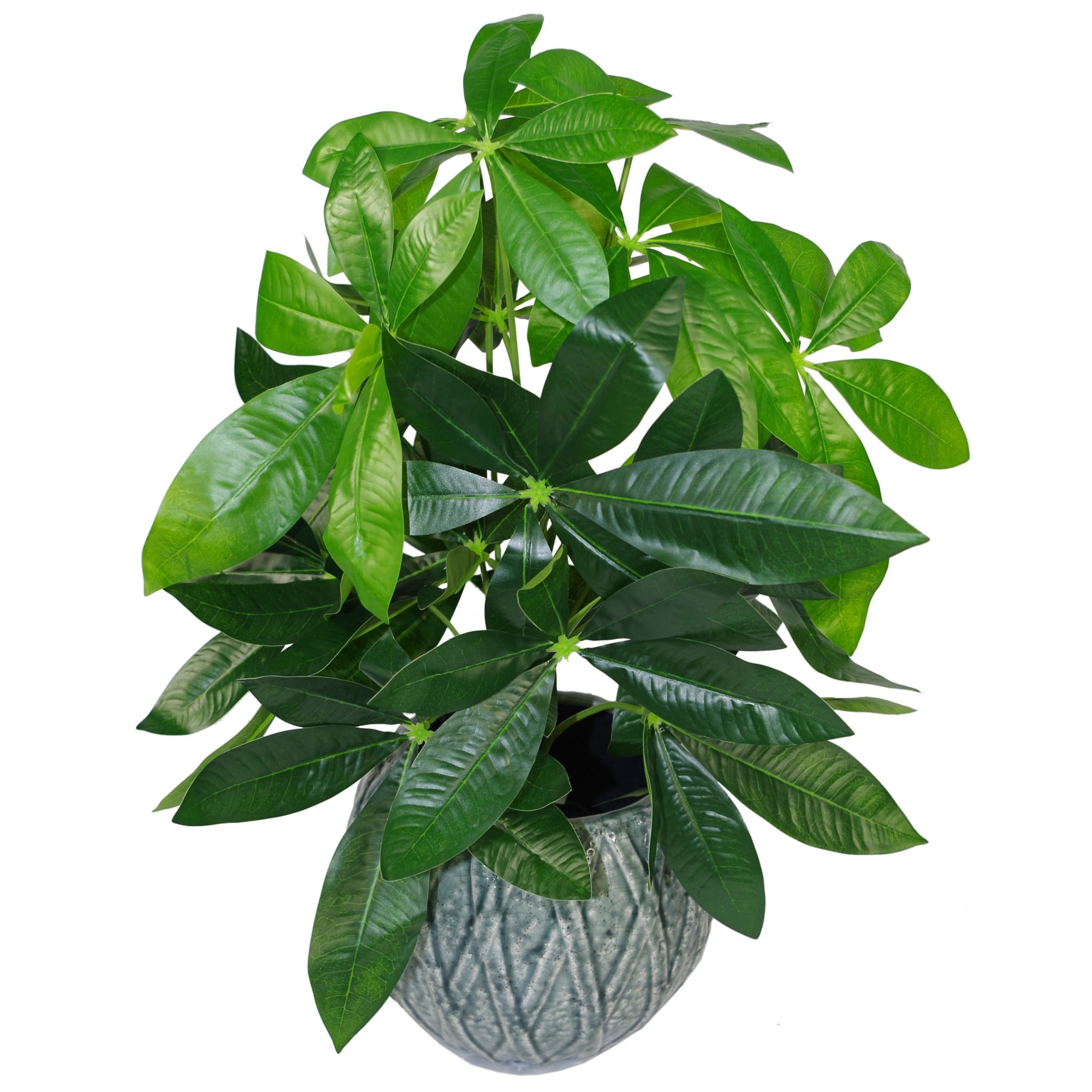 Leaf Design UK Realistic Artificial Foliage Plant with Pot, Green, 50cm