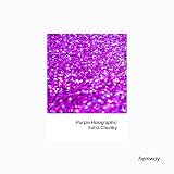 Hemway Holographic Purple Glitter Shaker 130g Extra Chunky Resin Epoxy view 2