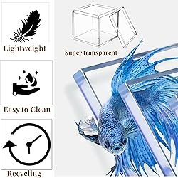 Acrylic Box Large Clear Display Boxes with Lid