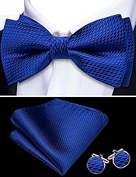 Barry.Wang Royal Blue Bow Ties for Men Pre-tied Bow