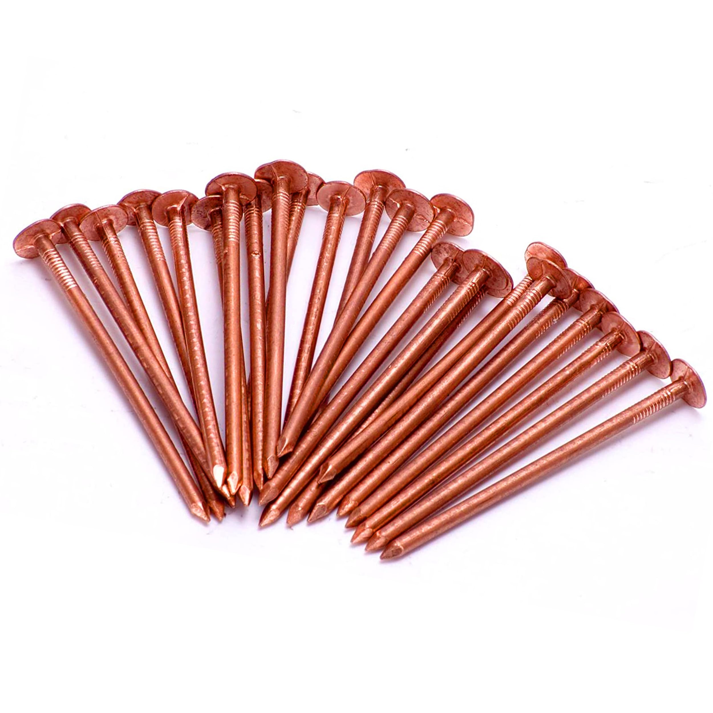 Build with Colour Copper Nail Tree Stump Killer | 30 x 65mm Pure Copper Nails, an Effective Eco-Friendly Solution for Tree Stump Removal and Killing Tree Roots, Also Durable Clout or Roof Nails