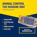 The Big Cheese Ultra Power Rat Trap Cage Humane Live Catch 36x14x16cm view 4