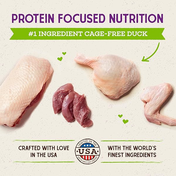 STELLA & CHEWY’S RAW COATED CAT FOOD – HIGH PROTEIN, GRAIN-FREE KIBBLE WITH CAGE-FREE DUCK – PREMIUM DIGESTIVE SUPPORT WITH PROBIOTICS – ALL NATURAL SMALL KIBBLE – PERFECT FOR PICKY EATERS – 5 LB BAG