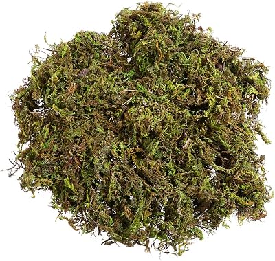 WINOMO Artificial Moss 60g Decorative Green Moss for DIY Landscaping