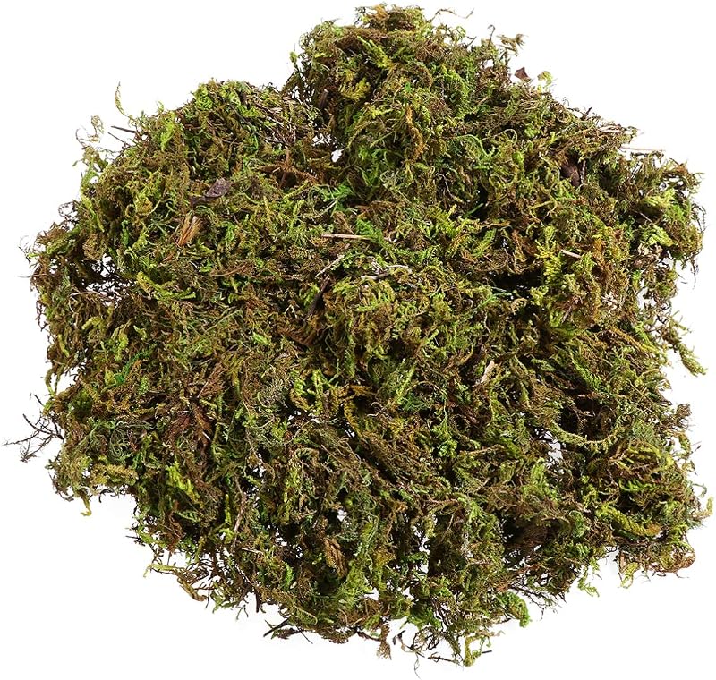 WINOMO Artificial Moss 60g Decorative Green Moss for DIY Landscaping