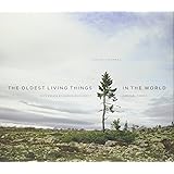 The Oldest Living Things in the World