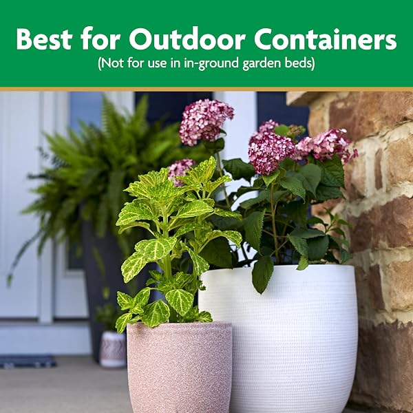 MIRACLE-GRO MOISTURE CONTROL POTTING MIX – PLANT SOIL FOR CONTAINER PLANTS, PROTECTS AGAINST OVER- AND UNDER-WATERING, 8 QT. (2-PACK)