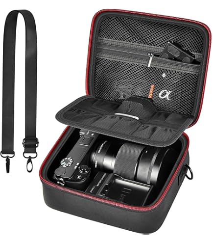 Amazon.com : Sony LCS-CSG Soft Genuine Leather Carrying Case for