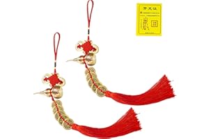 CNYTPE Five Emperors Coins Feng Shui Gourd - Gourd Feng Shui Health and Success Amulet, Chinese Good Luck and Lucky Charm for