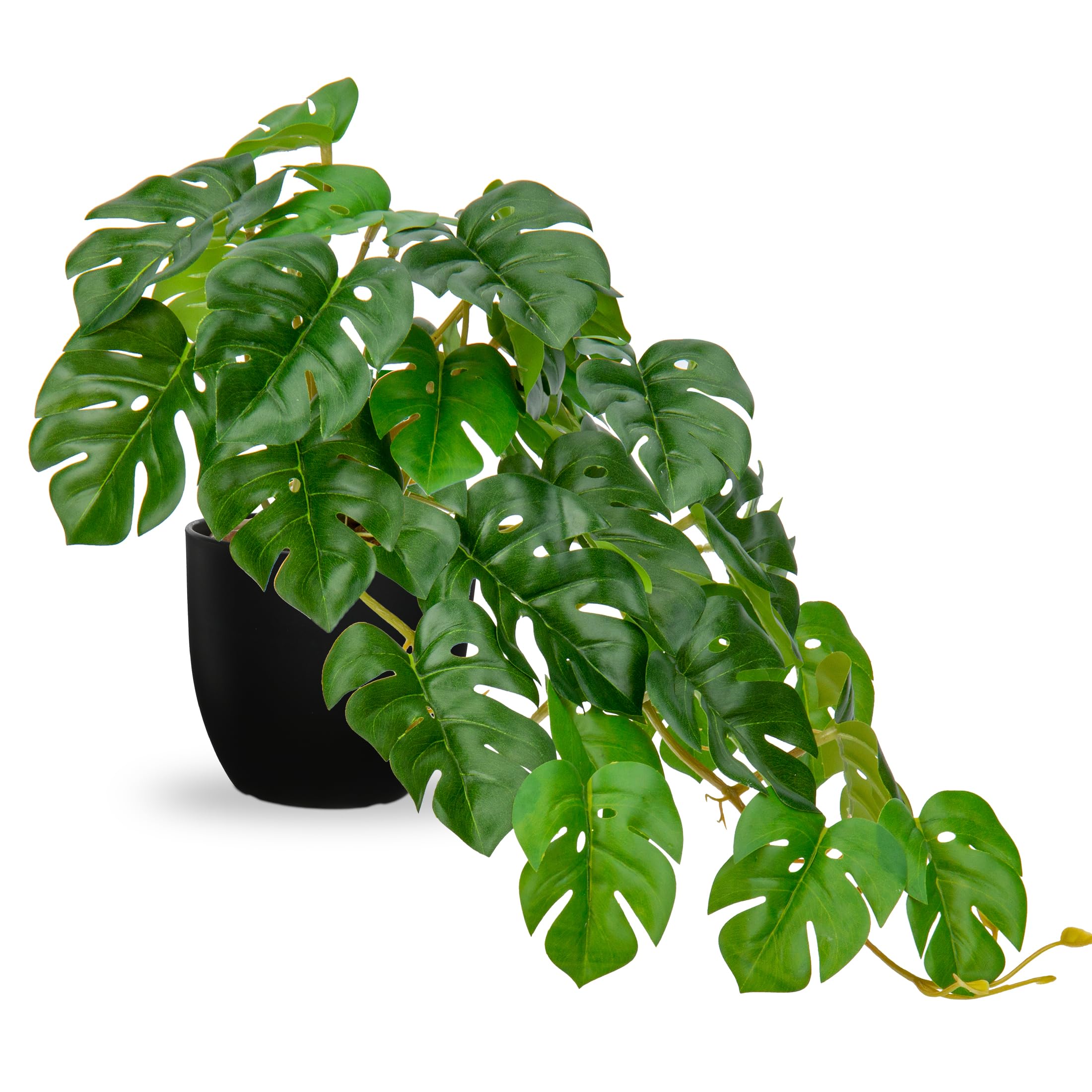 Photo 1 of DILATATA Fake Plants Indoor 8 Inch Artificial Monstera Plant in Black Plastic Pot - Faux Potted Tropical Palm Plant for Home Aesthetic Decor Living Room Shelf Office