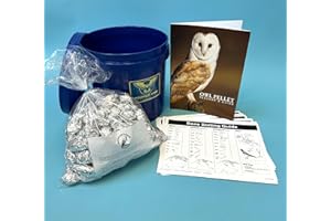 LABSTOCK P1-100 Bargain Bucket, 100 Regular Owl Pellets with Teachers Guide and Bone Sorting Sheets