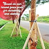 Circle of Trust 1.2 m Wooden Garden Stake 5 cm Thick Pressure Treated view 4