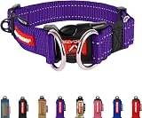 EzyDog Double Up Dog Collar Reflective Nylon Purple Medium