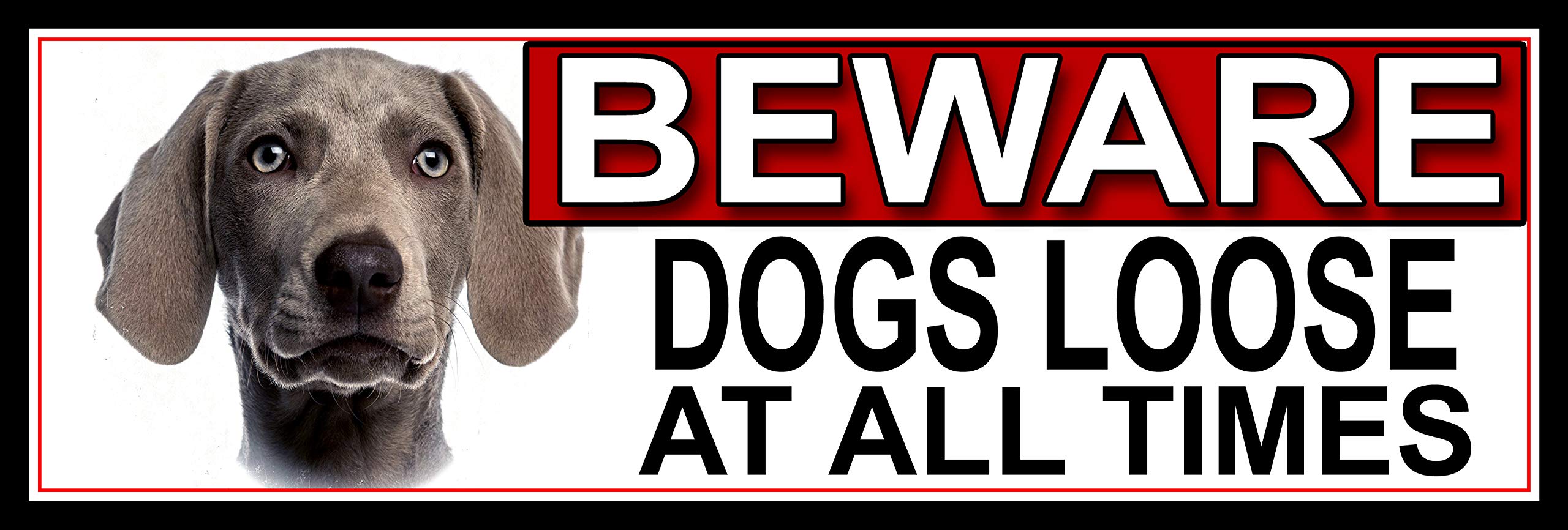 SHAWPRINT Weimaraner BEWARE DOGS LOOSE AT ALL TIMES METAL GATE SIGN 266mm x 87m. (415H2)