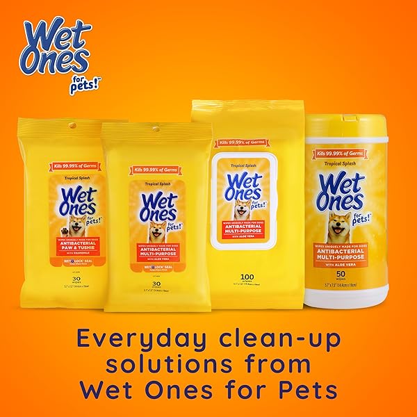 WET ONES FOR PETS ANTIBACTERIAL HEAVY DUTY PAW WIPES, TROPICAL SPLASH SCENT – THICK DOG CLEANING WIPES – SCENTED, DURABLE AND DISPOSABLE DOG WIPES FOR PAWS, 50 COUNT