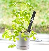 KINGLAKE 100Pcs Plastic Plant Labels & Pen 6" Writable Tags Garden Markers view 5