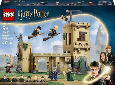 Harry Potter Le château de Poudlard : Les Cours de vol 76447