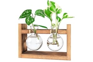 IVOLADOR I Ivolador Plants Terrarium Glass Bulb Terrarium with Retro Solid Wooden Stand Propagation Sation for Hydroponics Plants Desktop Home Garden Wedding Décor (2 Bulbs)