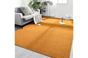 FlyDOIT Area Rugs for Bedroom Living Room, 5x8 Orange Super Soft Comfy Thickened Memory-Foam Indoor Carpets, Modern Aesthetic Minimalist Carpet for Boys Girls Adults Apartment Nursery Home Décor