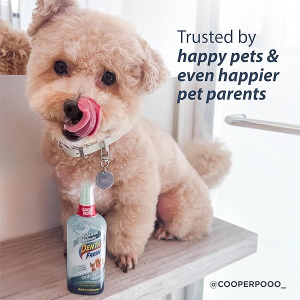 DENTAL FRESH ORAL SPRAY FOR DOGS AND CATS, ELIMINATES BAD BREATH AND PROTECTS THEIR TEETH & GUMS, 4 FL OZ.