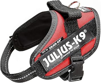 julius k9 harness mini red