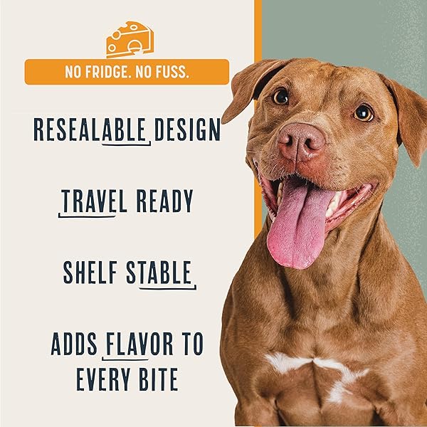 BEAUMONT BASICS FLAVORS FOOD TOPPER FOR DOGS, DELICIOUS SEASONING FOR DOG FOOD, NATURAL, GRAIN-FREE KIBBLE SEASONING AND TREAT MIX FOR PICKY DOGS AND PUPPIES, WHITE CHEDDAR RECIPE, 3.1-OUNCE