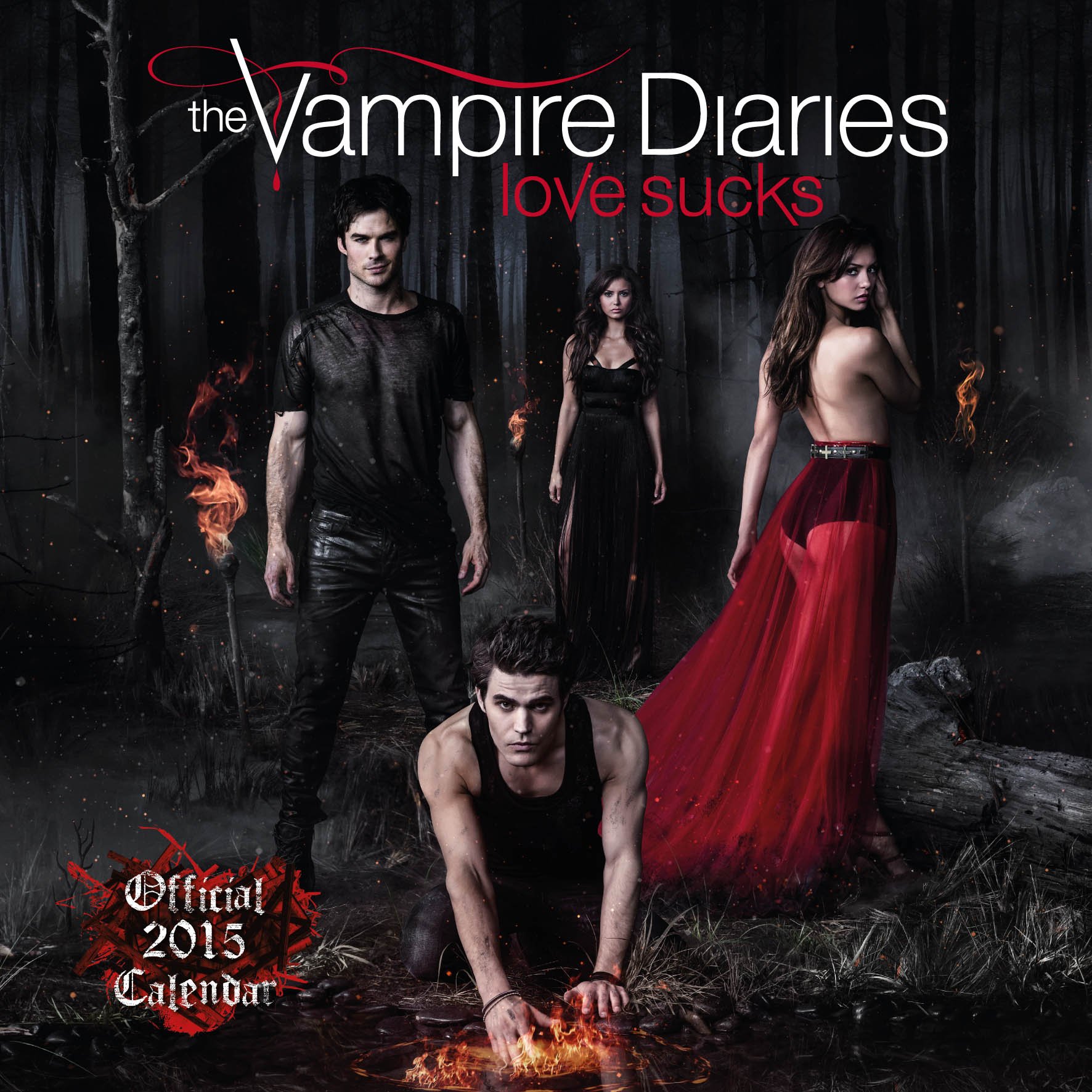 Official Vampire Diaries Square Calendar 2015 9781780546285 Amazon Com Books