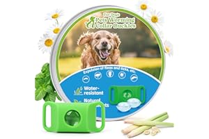 TRIHOOD Natural Flea and Tick Prevention Dog Tag – Waterproof Collar Pendant with 2 Extra Refills, Green, Safe for All Breeds Collar Not Included
