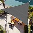 Shade&Beyond Triangle Sun Shade Sail 16'X16'X16' Permeable Canopy Dark ...