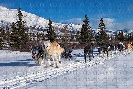 Amazon 犬ぞりアラスカアメリカパズル木製ジグソーパズル大人用1000ピース旅行のお土産贈り物 木製パズル おもちゃ