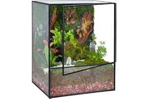 REDHUGO Glass Planter Terrariums with Door, Glass Terrarium Glass Greenhouse, Geometric Plants Terrariums Planter for Moss, Succulent, Indoor Tabletop Centerpiece, Rectangle, Black (Terrarium ONLY)
