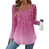 Zeagoo Long Sleeve Tops for Women V Neck Shirt Loose Fall Tunic Tops Dressy Casual Work Blouse 2026