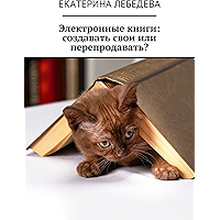 Электронные книги: создавать свои или перепродавать? (Russian Edition) book cover