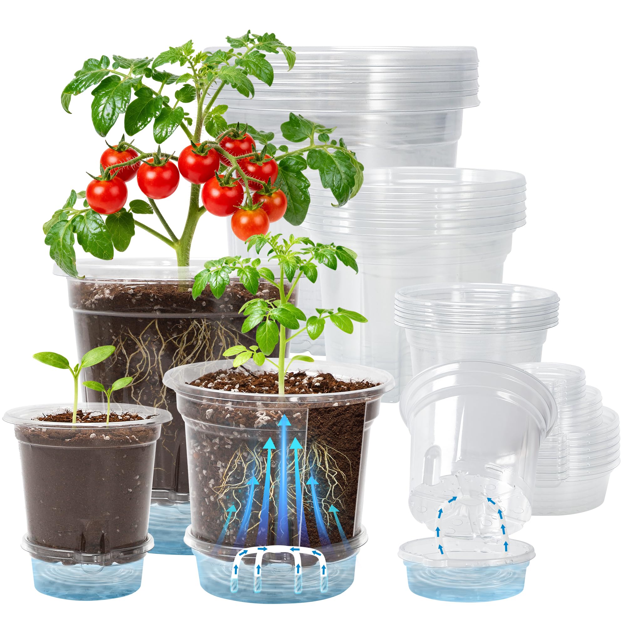 Bluepro 18 Pack 6.5/5/4 Inch Clear Self Watering Plant Pots with Bottom Water Tray & Watering Rope, Transparent Nursery Pots with Drainage for Seedlings, Herbs, and Houseplants Image