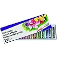 Pentel Arts Oil Pastels, AP Certified Non-Toxic, Artist Quality, Safe for at Home or in The Classroom, Box of 25 Colours