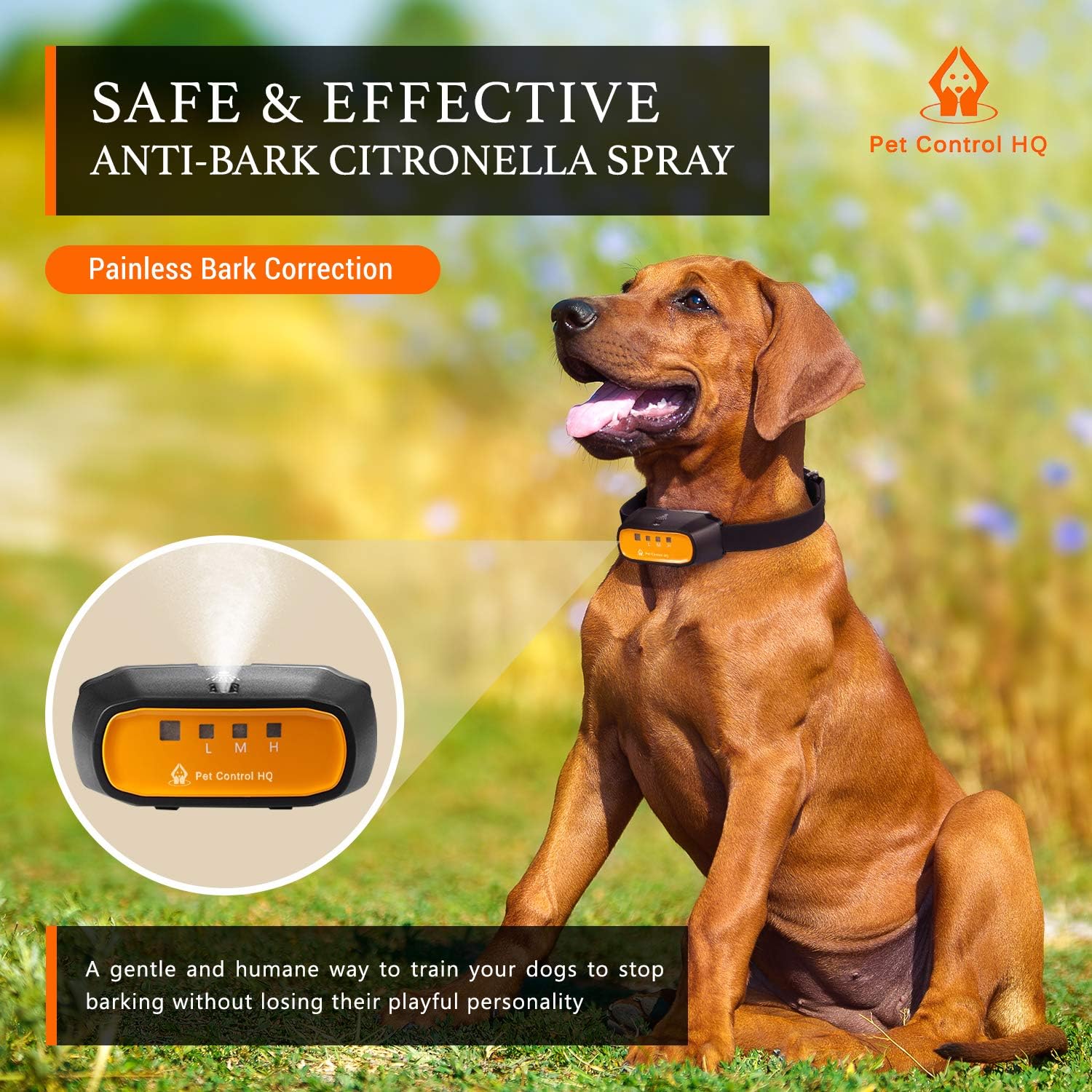 shock collar to stop digging