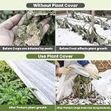 Velway 2x5m Plant Fleece Frost Protection 30gsm Heavy Duty view 3