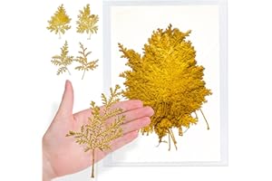 GSZN Yellow Dried Leaves for Resin Mold, 42PCS Natural Real Pressed Artemisia Leaves, Dry Wormwood Leaves for DIY Pressed Leaf Art Craft Embellishment Decorations