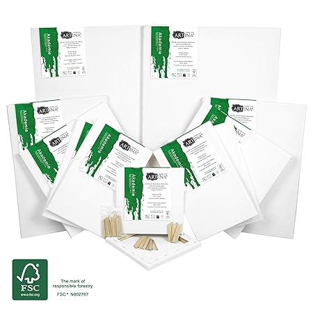 Artina FSC Keilrahmen 12er Set Akademie - 30x40 cm, 20 x20 cm, 20x30 cm, 30x30 cm & 40x60 cm Leinwand Set - 100% Baumwolle 28