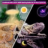 LUCKY HERP Reptile Night Heat Bulb 50W UVA Heat Lamp Moonlight Basking view 6