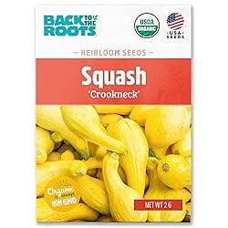 Back to the Roots 100% Organic Seed Packet - Squash