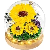 JIGQGY Sunflower Gifts for Women – Birthday, Thank You, Symbol of Positivity, Strength & Love, Sunshine Gift for Her, Girls & Friends