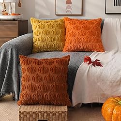 DFXSZ Fall Pillow Covers 20x20 Set of 2 Fall