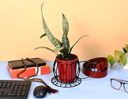 HINS Mug Metal Polka Round Shape Flower Plant Pot with Stand Metal Pots for Indoor Plants (red)