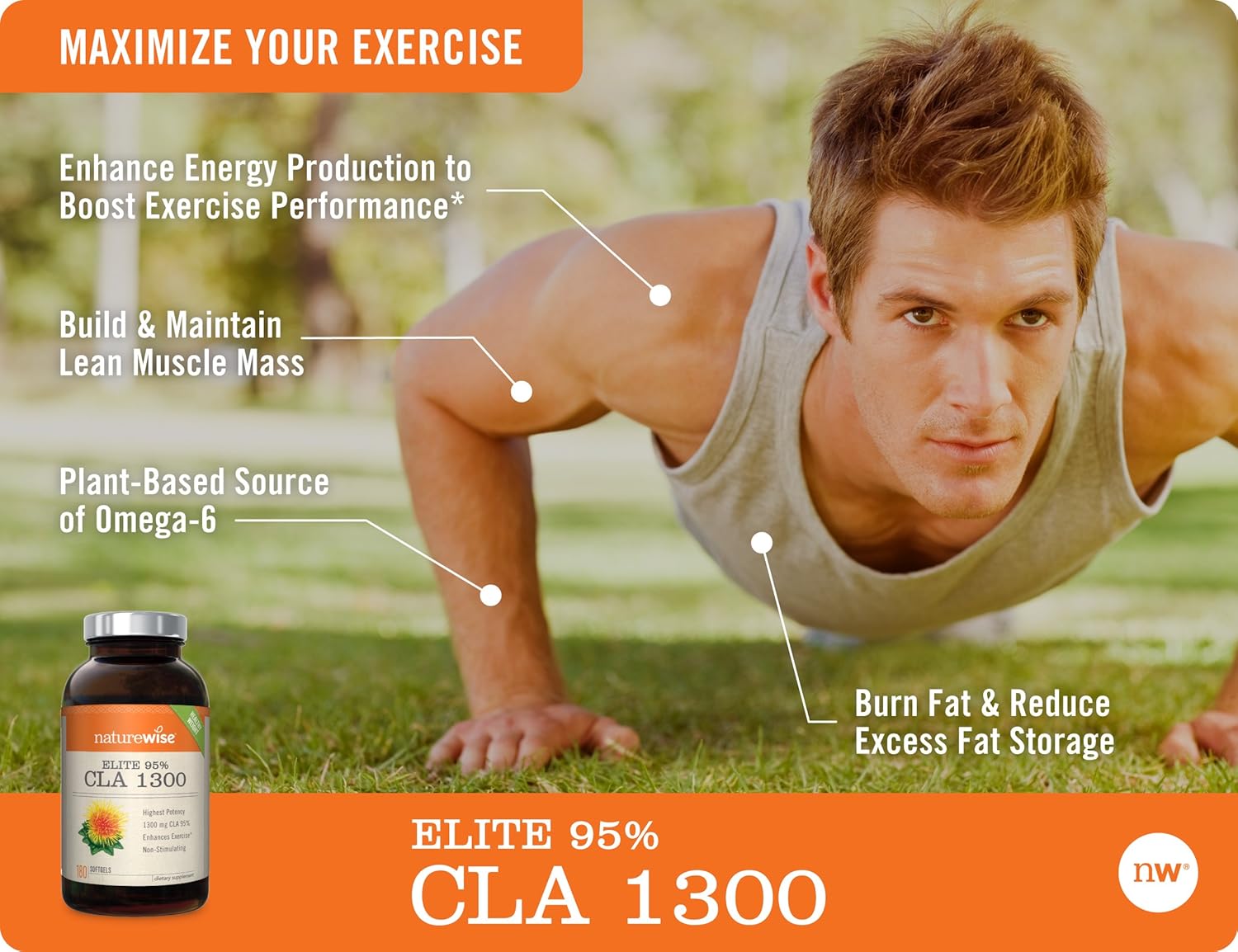 NatureWise Elite CLA 1300 Maximum Potency | 95% CLA Safflower Oil Health Supplements | Natural Fat Burner Improve Body Composition | Non-Stimulating Formula & Gluten Free [2 Month Supply - 180 Count]: Health & Personal Care