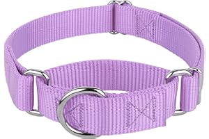 COUNTRY BROOK DESIGN Country Brook Petz - Martingale Dog Collar - Heavy-Duty Training Collar with No Buckle - Service Dog Collar for All Pups - 10+ Cool Colors (Lavender, 1 Inch, Medium)