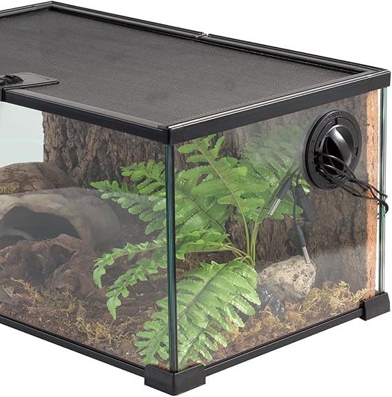 reptizoo reptile glass terrarium