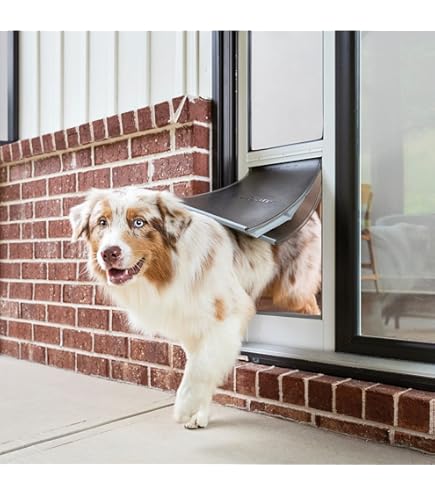 Pet Doors For Dogs Aluminum Large Dog Door For Exterior Door