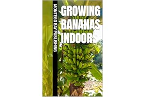 Growing Bananas Indoors (Beautiful Gardens)